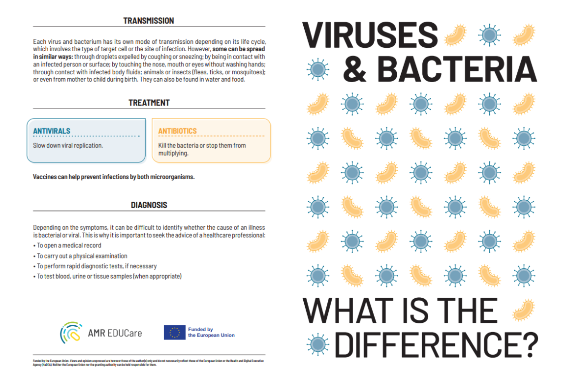 Flyer 1: virus or bacterium